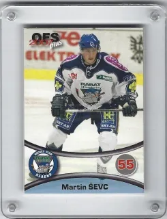 Ševc Martin OFS 2006-07  č.266
