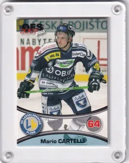 Cartelli Mario OFS 2006-07  č.270