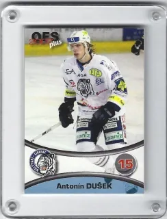 Dušek Antonín OFS 2006-07  č.338