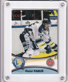 Fabuš Peter OFS 2006-07  č.347