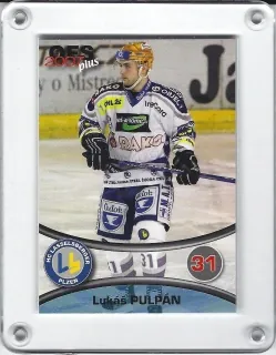 Pulpán Lukáš OFS 2006-07  č.349