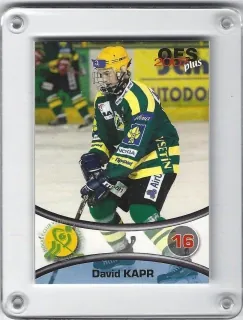 Kapr David OFS 2006-07  č.385