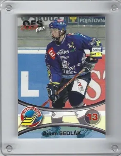 Sedlák Adam OFS 2006-07 č.392