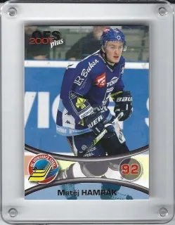 Hamrák Matěj OFS 2006-07 č.394