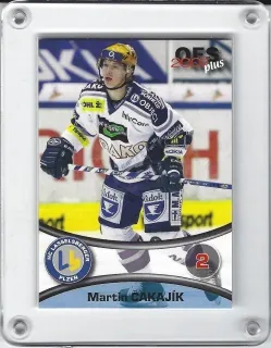 Čakajík Martin OFS 2006-07 č.397