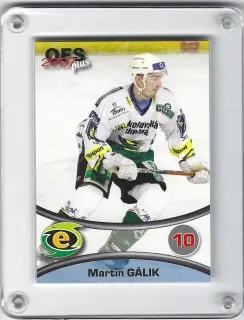 Gálik Martin OFS 2006-07 č.403