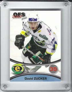 Zucker David OFS 2006-07 č.404