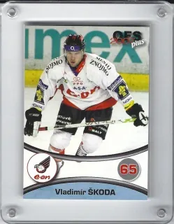 Škoda Vladimír OFS 2006-07 č.410