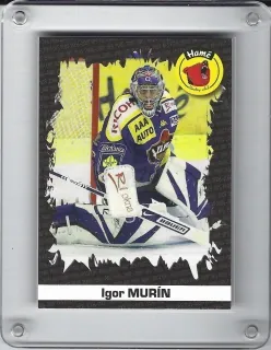 Murín Igor OFS 2006-07 Úspěšnost zásahů č.U01