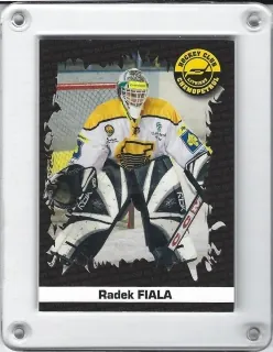 Fiala Radek OFS 2006-07 Úspěšnost zásahů č.U09