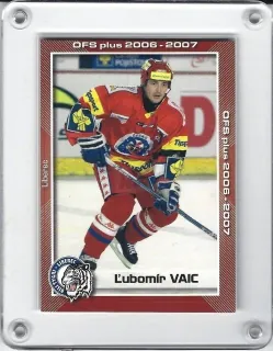 Vaic Lubomír OFS 2006-07 Utkání hvězd č.UH12