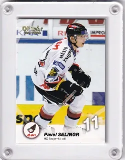 Selingr Pavel OFS 2007-08 č.254