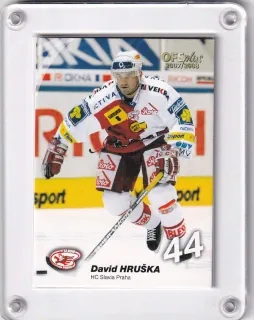 Hruška David OFS 2007-08 č.264