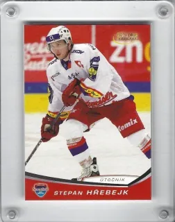 Hřebejk Štěpán OFS 2008-09  č.17