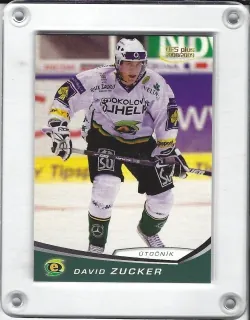 Zucker David OFS 2008-09  č.23