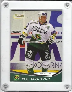 Mudroch Petr OFS 2008-09  č.40