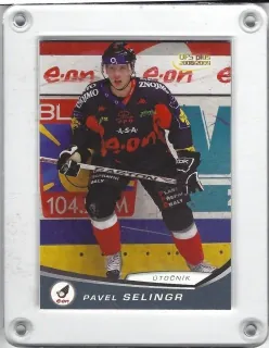 Selingr Pavel OFS 2008-09  č.79