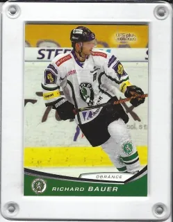 Bauer Richard OFS 2008-09  č.101