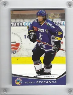 Štefanka Juraj OFS 2008-09  č.118