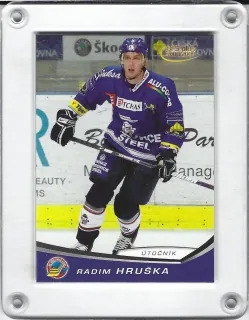 Hruška Radim OFS 2008-09  č.129