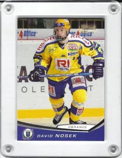 Nosek David OFS 2008-09  č.140
