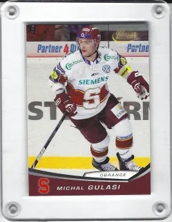 Gulaši Michal OFS 2008-09  č.173