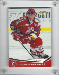 Sekeráš Lubomír OFS 2008-09  č.194