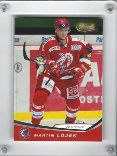 Lojek Martin OFS 2008-09  č.195