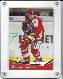 Hašek Jiří OFS 2008-09  č.209