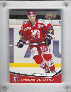 Vosátko Lubomír OFS 2008-09  č.210