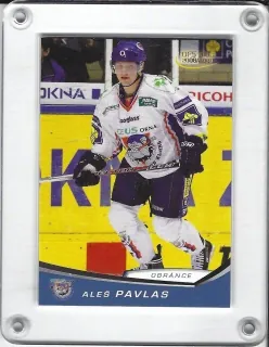 Pavlas Aleš OFS 2008-09  č.213