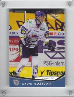 Růžička David OFS 2008-09  č.215