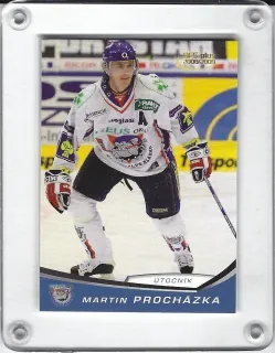 Procházka Martin OFS 2008-09  č.225