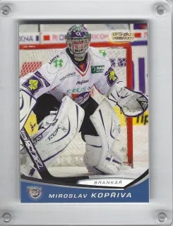 Kopřiva Miroslav OFS 2008-09  č.226