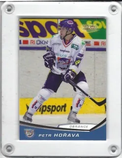 Hořava Petr OFS 2008-09  č.228