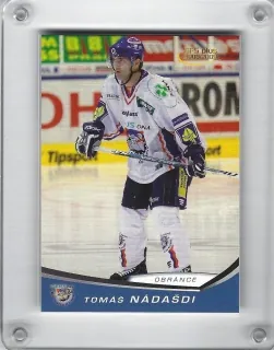 Nádašdi Tomáš OFS 2008-09  č.232