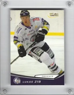 Zíb Lukáš OFS 2008-09  č.238