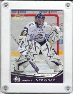 Nedvídek Michal OFS 2008-09  č.240