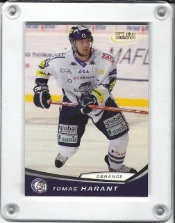 Harant Tomáš OFS 2008-09  č.246