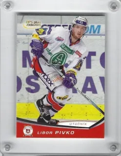 Pivko Libor OFS 2008-09  č.264
