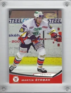 Štrbák Martin OFS 2008-09  č.265