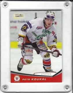 Koukal Petr OFS 2008-09  č.270