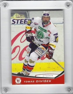 Divíšek Tomáš OFS 2008-09  č.273