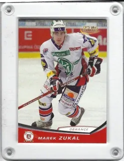 Zukal Marek OFS 2008-09  č.275