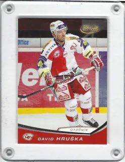 Hruška David OFS 2008-09  č.278