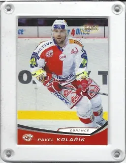 Kolařík Pavel OFS 2008-09  č.291