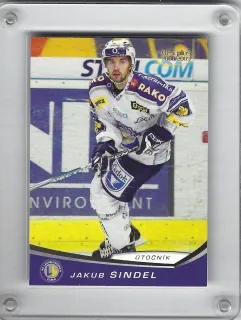 Šindel Jakub OFS 2008-09  č.298