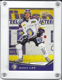 Laš Marek OFS 2008-09  č.302