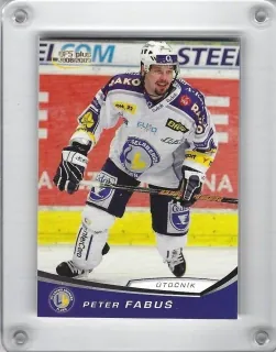 Fabuš Peter OFS 2008-09  č.309