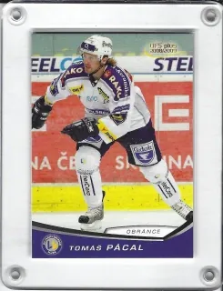 Pácal Tomáš OFS 2008-09  č.315